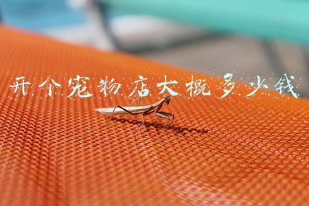 小型宠物店投资多少钱 宠物店投资大概在多少钱