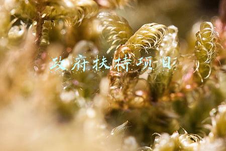 养殖政府扶持项目(「政策解读」2021年国家将重点扶持哪些农业项目)