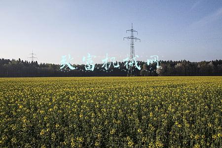 致富信息小机械加工(2021年，适合农村开办的加工厂有哪些？这几个投资小、有前景)