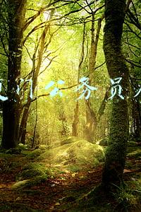 厦门公务员局