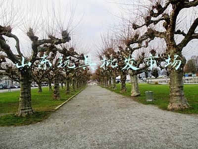 山东玩具批发市场