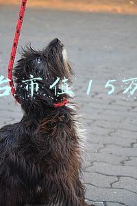 茅台总市值是多少万亿(贵州茅台市值创新高破3万亿元，股价逼近2400元)