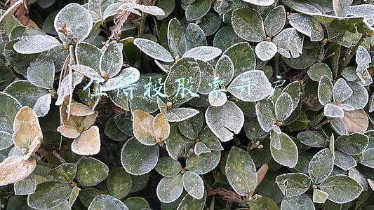 投资开户选哪个好(期货开户哪家期货公司手续费、保证金低？怎么选择期货公司？)