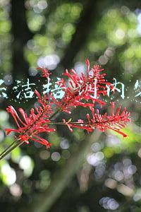 保洁培训内容