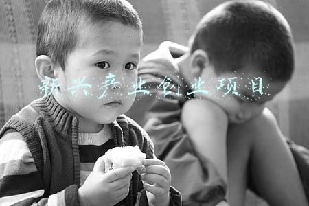 最新创业项目新兴产业(中国经济“三季报”出炉 这些新兴产业表现突出)
