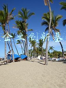 中小企业创新基金网