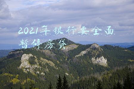 2021年银行要全面暂停房贷