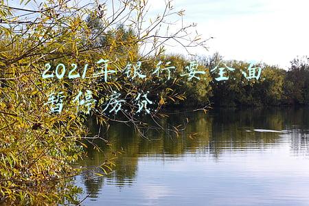 2021年银行要全面暂停房贷
