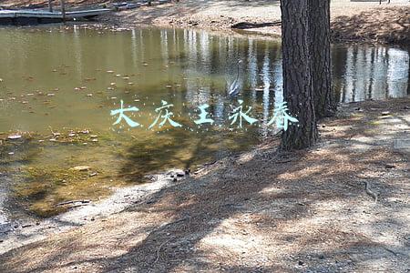 大庆王永春