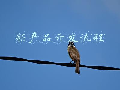 新产品开发流程