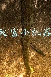小项目创业网致富小机器(低价收购，拆解后一单可赚2000-3000元，这个项目有人月入百万)