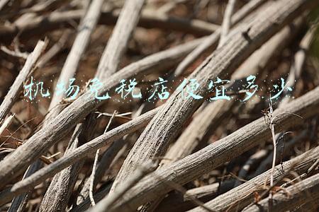 机场的免税店和商场的免税店哪个便宜,哪个机场免税店最便宜