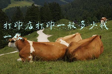 打印店胶装多少钱一本 打印店胶装要多少钱