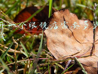 眼镜店投资需要多少钱(开个眼镜店需要多少钱)
