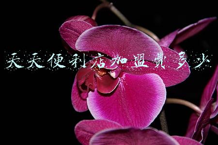 天天便利店加盟条件及费用 天天便利店加盟费多少钱