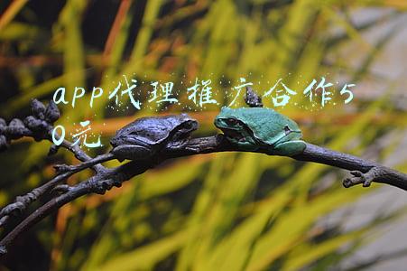 app推广30元一单平台(疯狂的偷拍黑产：摄影头实时监控套餐在千人群叫卖)