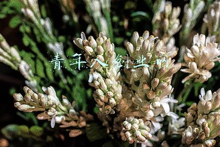 中国青年创业社区(【普法宣传|关爱未成年】创业社区：关爱未成年人成长，保护青少年权益)