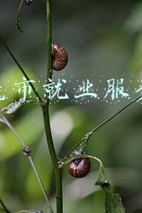 东莞市专业人才服务网(“双锦临门”！东莞科技人才服务中心的暖心事)