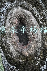 北京菜市场招商有没有新的信息(新型菜市场不只卖菜 吃饭跳舞逛街甚至还能打疫苗)