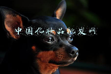 中国化妆品批发网app下载(价格低廉种类繁多 圈粉年轻人的化妆品小样真假几何)