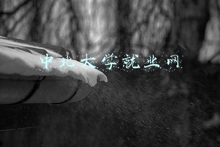 中北大学就业网