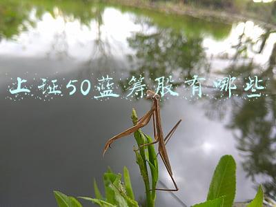 上证50蓝筹股有哪些