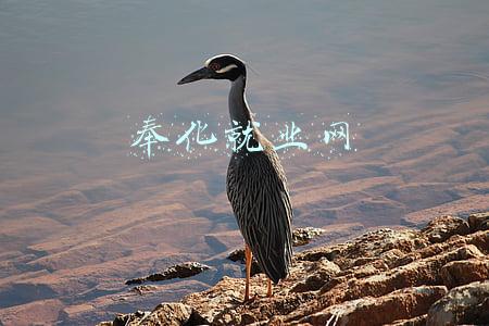 奉化就业网