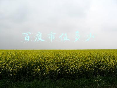 百度市值多少钱(从6亿美元到146亿美元 百度市值是如何再度“甩开”京东的？)