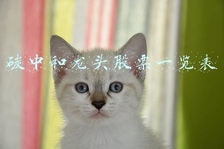 碳中和龙头股票一览表
