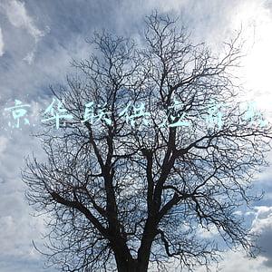 北京华联供应商系统查询智学网(《创业者早报》11月8日｜星期一)