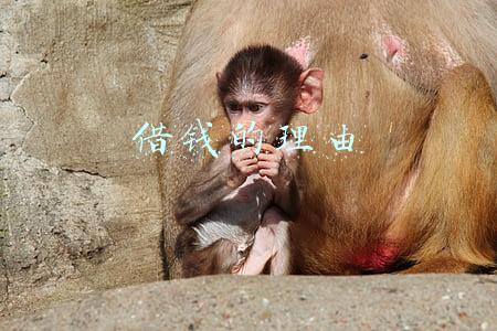 借钱的理由都有哪些急事(借钱之前先考虑清楚这几点)