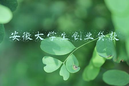 安徽大学生创业贷款能贷多少(合肥：高校毕业生创业项目最高可获10万元扶持资助)