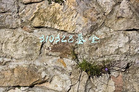 310328基金分红公告(申万菱信新动力混合基金最新净值涨幅达1.53%)