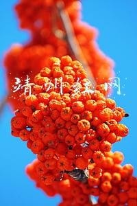 靖州红网最新消息(靖州：连湖路建设正式开工)