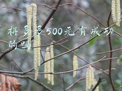 拼多多500元有成功的吗