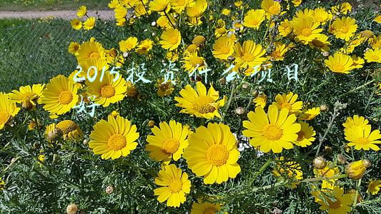 有没有好的投资项目(2022年投资少利润高的5个项目，看完这几点 你就知道该怎么做了 )