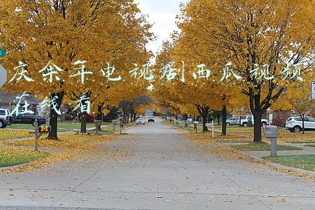 庆余年电视剧西瓜视频在线看