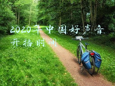 2020年中国好声音开播时间几点(2.7分，《十年一品温如言》创下情人节档史上最低分)