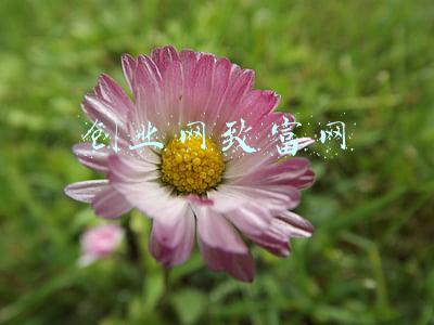 创业网致富网 创业网致富网