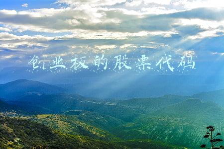 创业板的股票代码