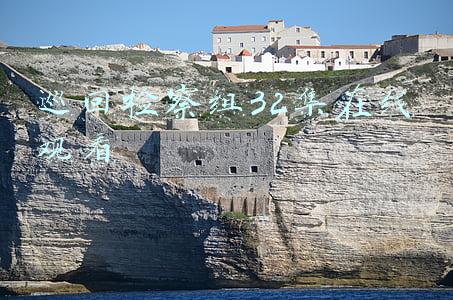 巡回检察组32集在线观看