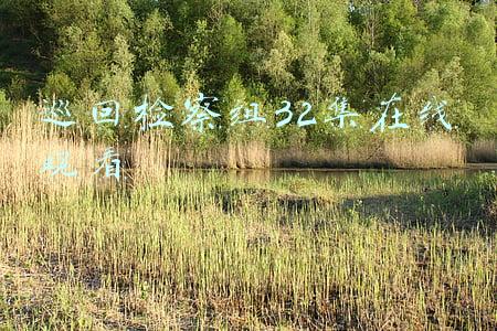巡回检察组32集在线观看