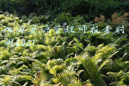 初级人力资源管理师报考时间2021(人力资源管理师\u0026中级经济师，你真的了解么？)