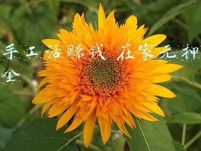 手工活不交押金(外包手工活交360元押金，日赚180元？柳州50余人被骗……)
