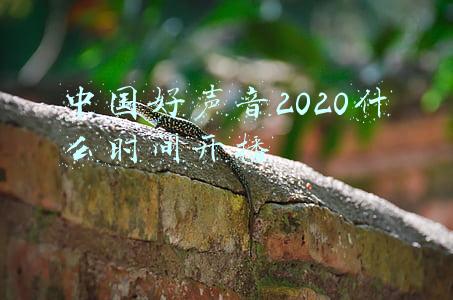 中国好声音2020什么时间开播