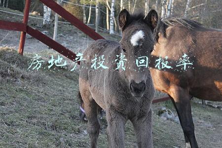 房地产投资回报率多少合适(房子的投资回报率可能没有你想象的那么高)