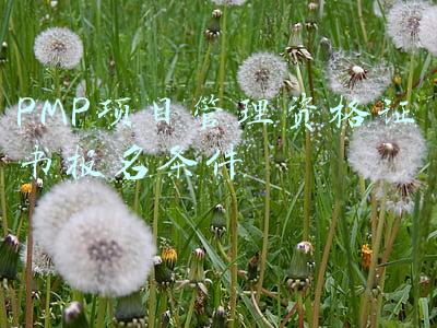 项目管理pmp报名要求(如何报考PMP？)