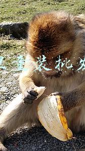 织里童装批发网