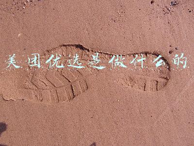 美团优选好做吗(我在多多买菜，橙心优选，美团优选当团长遇到了什么？)