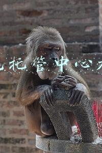 幼儿托管中心加盟